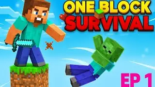 I am playing hardest Minecraft map one block in mobile in HINDI