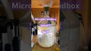 Sandbox S2 Day0: A new start🎬 #microscope #viralshort #experimnent #biology