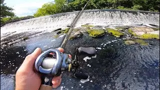 Fishing an URBAN CLEARWATER CREEK!! (IMPOSSIBLE Bike Fishing MISSION)