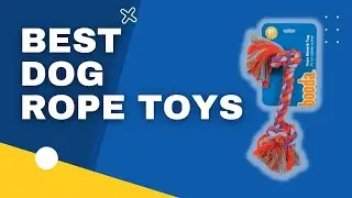 Top 3 Best Dog Rope Toys in 2023