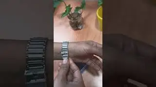 #Myntra #Crestello women wrist watch, under 500₹ #shortvideo