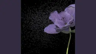 gwyw
