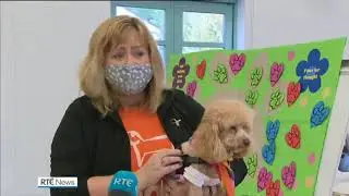 'Henry Wee Wheels' teaching children about kindness