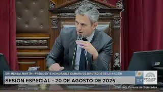 ▶ 1ra. Parte 🇦🇷 SESIÓN ESPECIAL: 20 de agosto de 2025 - Diputados Argentina - COMPLETA