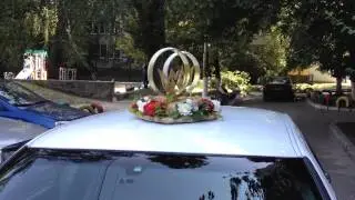 IMG 0595