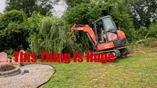 Quitting Excavation And Starting A Tree Business