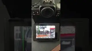 New z8 shutter sounds firmware 2.0 #nikon