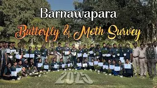 Barnawapara Butterfly & Moth Survey 4.0, 2025 | Barnawapara Wildlife Sanctuary