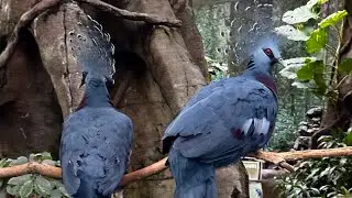 Utah&rsquo;s Tracy Aviary at Liberty Park 