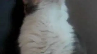 Test of FlipShare Video featuring Tibbarski