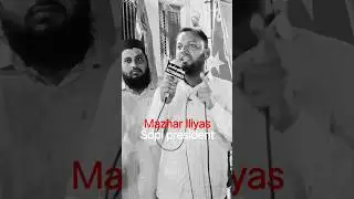 The Most Powerful Lions in SDPI | #ytshorts #shorts #shortvideo