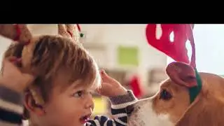 Keep pets safe from holiday hazards
