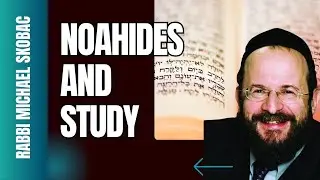 WHAT MAY A NOAHIDE STUDY?