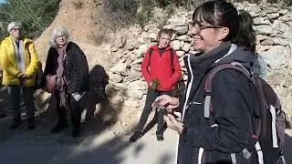 Passejada Arqueològica pel Paisatge d'Altafulla