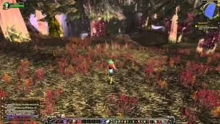 Buzzbox 723 Quest - World of Warcraft