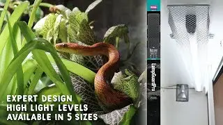LampGuardPro, Easy To Use UV Lamp Cage By Arcadia Reptile!! Full Video