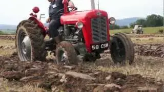 Field of Massey's. Friends of Ferguson Hertage 2012 Ploughing Match near Dumfries