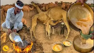 Rajasthani Village Wali Camel Milk Chai l Rajasthan Street Food