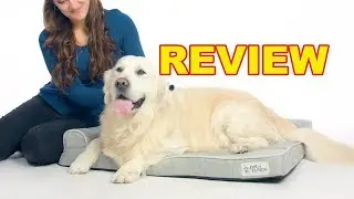 Review PetFusion Ultimate Pet Bed Dog Bed 2019