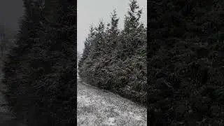 Snow falling out the window
