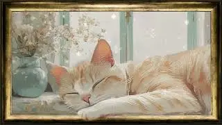 gentle music for cats to sleep🎵purring and water streaming
