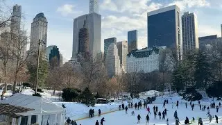 Sunny Winter Walk in Central Park, New York City | 4K
