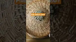 Pine needle basket