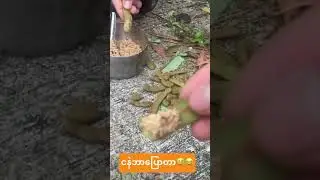 #foodvlogchannel
