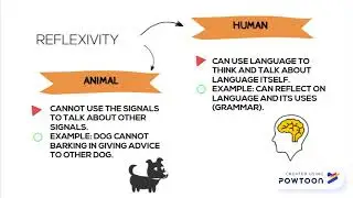 Linguistic Chapter 2-Animal and Human Language P1