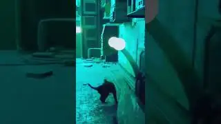 Симулятор кота / часть 2 #stray #straycat #straygameplay #colafanagaming