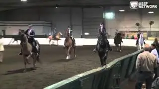 3-Gaited Railwork at the U.S. Saddle Seat Invitational