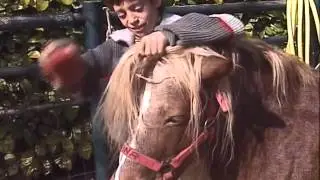 Julie au Poney-club