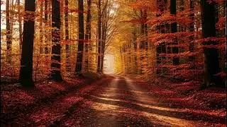 Peaceful Autumn Rain 🍂 Relaxing Sound for Calm Mind and Inner Tranquility