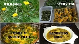 Survival/Wild/Home DANDELION SOUP Masterclass