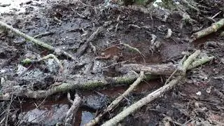 Raidelbach westlich von Wolfersweiler