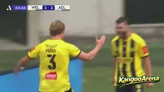 Wellington Phoenix 2&ndash;2 Adelaide United &ndash; Goals ⚽🔥 HD A League