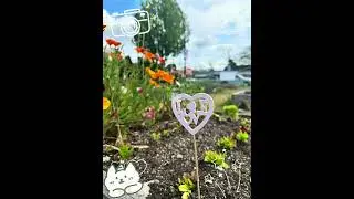 Urban Gardening in Vancouver  | How inCAN is Growing Community Before Construction
