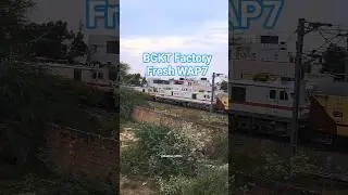 🌟22421 Salasar SF Express Leading With GZB WAP7 #30233 With In-transist BGKT factory WAP7 #shorts