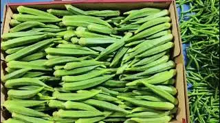 Fresh Vegetable Export to Hong Kong | Sanjog Enterprise | Premium Quality Indian Produce