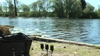 Pete Castle gets amongst carp to 39lb+ from the Nunnery