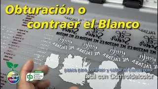 Obturación en DTF | El Paso que Todos Cometen Mal