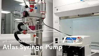 pH controlled reactor dosing with the Atlas Syringe Pump