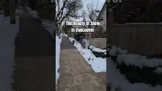 The Beauty of Snow in Vancouver, Canada. #snow #downtownvancouver #eastvan #weather