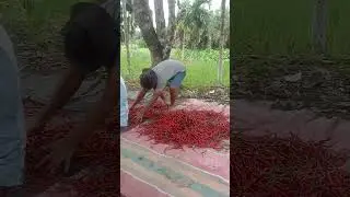 child 🔥🔥🔥🔥 #amerika  #viral  #suscribete  #fy0 #yutubeshorts #luarnegeri #indonesia  #panen