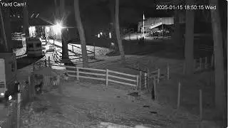 Goldy's  Yard 649pm  Penny Sizz come up free running ;Goaties paddock 1152025