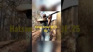 Hatsan AIRTACT QE .25 Cal