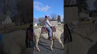 Ride horses with us! Lulu and Nellie are all saddled up. Let&rsquo;s go!