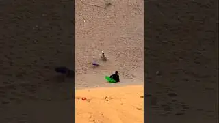 Sand surfing can be dangerous...#sandsurfing#travel #adventure #desert #everyone
