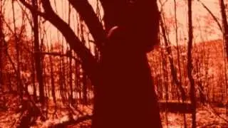 Depeche Mode - Walking In My Shoes [HD]