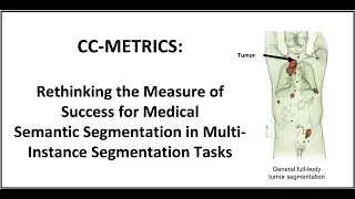 CC-Metrics: Measuring the Success for MedicalSemantic Segmentation in Multi-Instance Scenarios